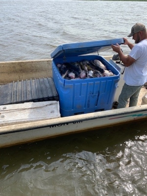 CBF event Fish Cooler.jpg