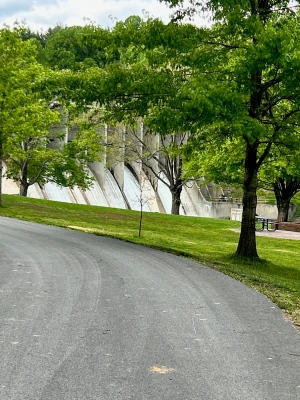 IMG2.jpg